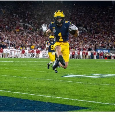 Michigan Wolverines