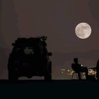 mahmoud anwar (@mahmoudanw89161) Twitter profile photo
