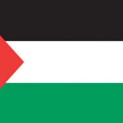 Elloco1897's profile picture. Bio