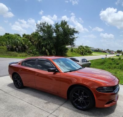 bojopy's profile picture. 