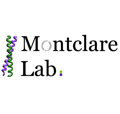 The lab focuses on protein engineering & molecular design. Led by Prof @jkmontclare. Follow us to get updates on our most recent work & interests!