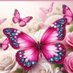 Lee Lee (@4everpeaceinme) Twitter profile photo