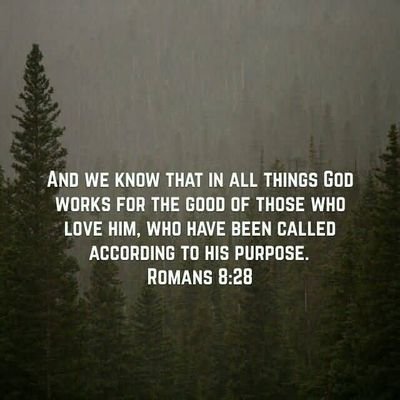 Chuks_Charlse's profile picture. 