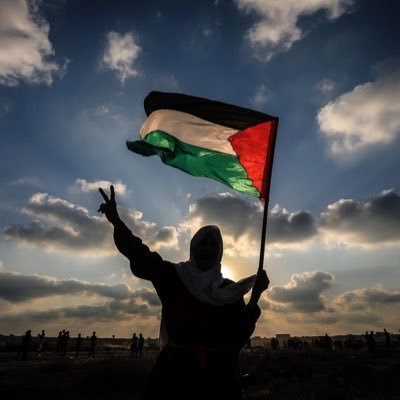 #Free_Palestine #Free_Sudan✌🏻. “Palestine is an occupied country since 1948”