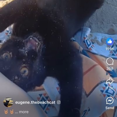 FriederJim's profile picture. 🏳️‍🌈 ☮️🖖 My dream is to save the world.