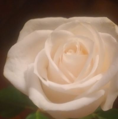 GiDinis's profile picture. Tecnologa de alimentos