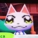 coy (@coydeseu) 's Twitter Profile Photo