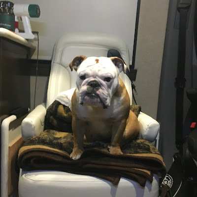 dunster22077152's profile picture. 