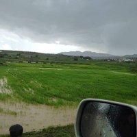 Mohammad Ahmad (@mommedbnahmed) Twitter profile photo