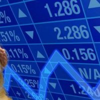 Haskinho (@husky1sol) 's Twitter Profile