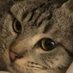 Ree โ๏ธ๐ฆ (@your_baby_gworl) Twitter profile photo Ree โ๏ธ๐ฆ (@your_baby_gworl) Twitter profile photo