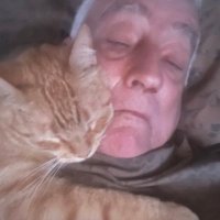 Richard Fagerlund (@askthebugman) 's Twitter Profile Photo Richard Fagerlund (@askthebugman) 's Twitter Profile Photo