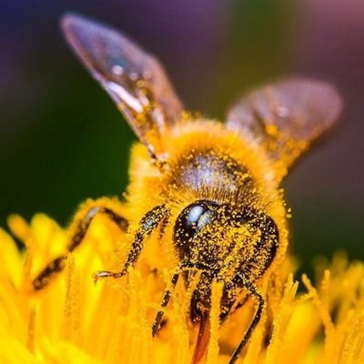 GS007777's profile picture. wieder zurück! 
Und noch immer mit der besten Frau der Welt verheiratet!