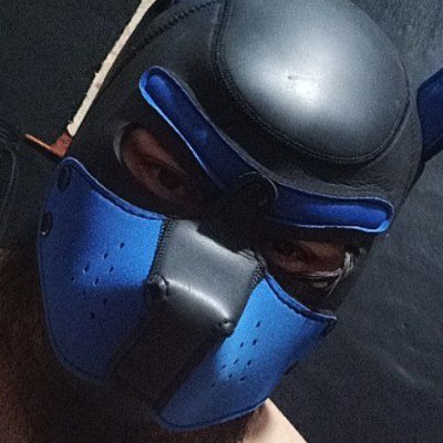 TobbyPupAD's profile picture. 27 yo /Esp-Eng/  He/Him /nerd/ gay / chubby boy/ Furry