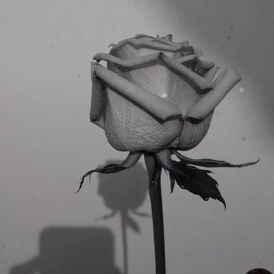 Hananeh26's profile picture. خوشـا عِشقے کـہ معشوقشـ حسینــ❤️استــ