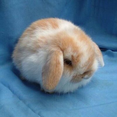 DHaldey's profile picture. 