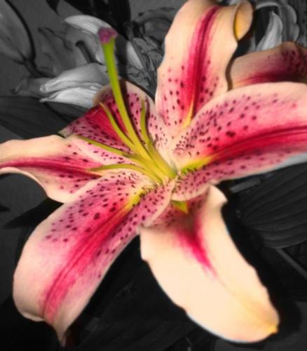 ElbyWells's profile picture. 