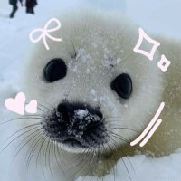 Starla πβ #sealtwt (@ssealtwt) 's Twitter Profile