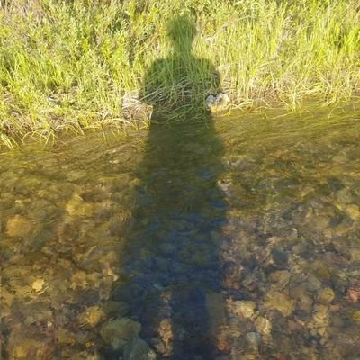 Wildlife Biologist | Predator Ecology | Quantitative Ecology | FirstGen | UCDavisAlum | She/Her | (Re)post≠Endorsement | Only My Own Views