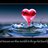 freebird247's profile image