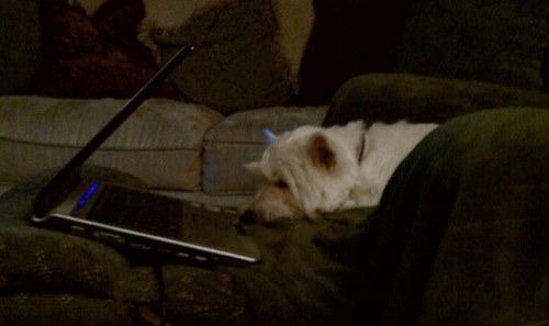 CaseyEverdeen's profile picture. 