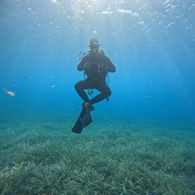 Muhamme98859843's profile picture. SAYGIDA MECBUR SEVGİDE ÖZGÜRSÜNÜZ
 
                         🇹🇷 MALATYALI🇹🇷
              
     🌟⭐🌟⭐

TEK KRALLIK GALATASARAYLILIK 👑