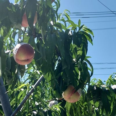 x9aKwIO3ASlDxs6's profile picture. スポーツ観戦大好きです!
既婚者です!!