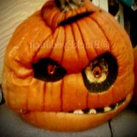 Black eyed jack (@blackeyedjack) 's Twitter Profile