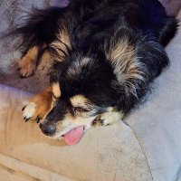 Mary For Freedom (@purgevictim2022) 's Twitter Profile