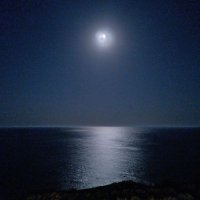 adg (@svubucyvnoni) 's Twitter Profile Photo