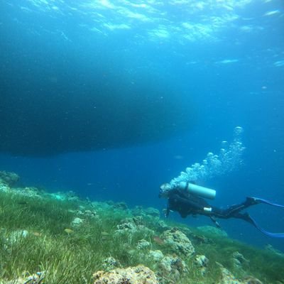 upsafeguard's profile picture. There I was minding my own business!