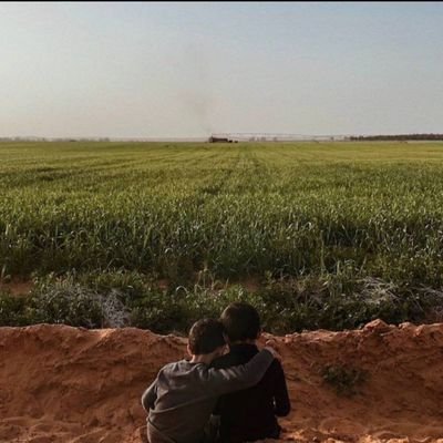 Joi16917972's profile picture. اليمن 
موطني