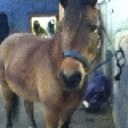 megan rossiter - @meggzeggz97 - Twitter