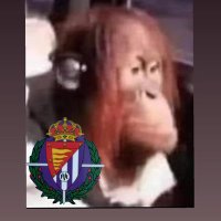 🏰🌾🇪🇦 (@cullonsmoraos) 's Twitter Profile
