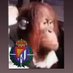 🏰🌾🇪🇦 (@cullonsmoraos) Twitter profile photo 🏰🌾🇪🇦 (@cullonsmoraos) Twitter profile photo
