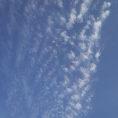 SKYBLUE/💙/挨拶/
繋がりりたい/DMお断り/一花、ニ乃、三玖、四葉、五月/DM❌/鬱病.心が病み/