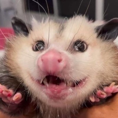 vampbrainrot's profile picture. Este perfil regularmente comenta sobre e curte posts sobre sexualidade, kinky e bichinhos fofos. Prossiga por sua conta e risco