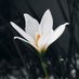 Yudh (@yudhhkrjkko) Twitter profile photo Yudh (@yudhhkrjkko) Twitter profile photo