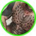 Ramon The Beast ๐บ๐๐ข Green Account ๐ข (@ramon_bigcock) Twitter profile photo Ramon The Beast ๐บ๐๐ข Green Account ๐ข (@ramon_bigcock) Twitter profile photo
