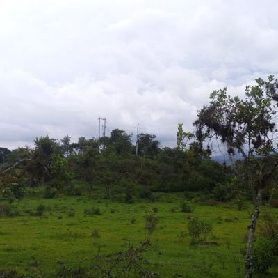 Fabin5562735729's profile picture. 