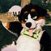 🔞1-800-🅱️RK-ALOT🔞 LIVE IN ANTHROHIO (@angrybarks) Twitter profile photo 🔞1-800-🅱️RK-ALOT🔞 LIVE IN ANTHROHIO (@angrybarks) Twitter profile photo