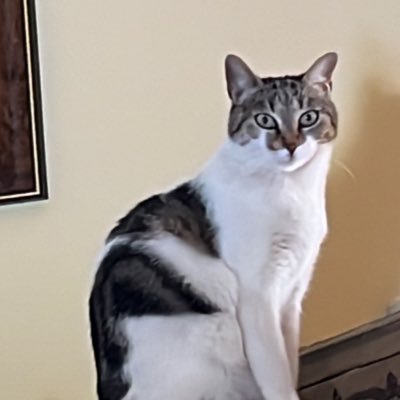 valerio_ita4896's profile picture. 