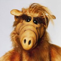 Alfie B. Samuelson (@alfie_samuelson) 's Twitter Profile Photo Alfie B. Samuelson (@alfie_samuelson) 's Twitter Profile Photo