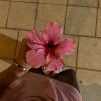 سامية 🇲🇦🎐 (@smckh_) 's Twitter Profile Photo سامية 🇲🇦🎐 (@smckh_) 's Twitter Profile Photo