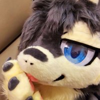 🐉のりそば 海苔龙 Norisoba🐉 (@kmn_norisoba) 's Twitter Profile Photo 🐉のりそば 海苔龙 Norisoba🐉 (@kmn_norisoba) 's Twitter Profile Photo
