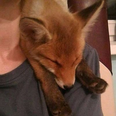 socially anxious furry.
might post something sometime, not sure about that.