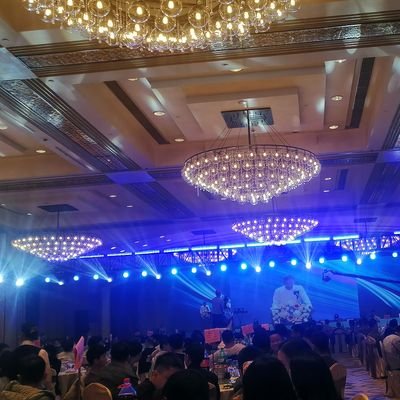 kitty131707's profile picture. 