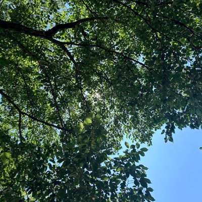 sp___N_'s profile picture. 