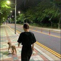 Setairtho (@setairthoift) 's Twitter Profile