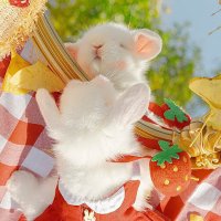 Xi Chen (@xc2591) 's Twitter Profile